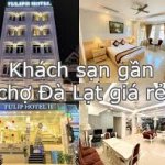 Top 10 Khách Sạn Gần Chợ Đà Lạt View Đẹp, Giá Tốt Nhất 2025 5 khách sạn gần chợ đà lạt
